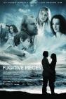 漂泊手记Fugitive Pieces