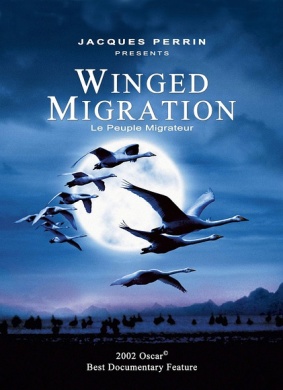 迁徙的鸟Le peuple migrateur