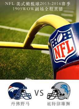 2015-2016赛季NFL亚利桑那红雀VS卡罗莱纳黑豹