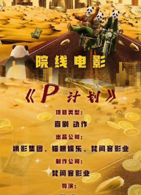 P计划